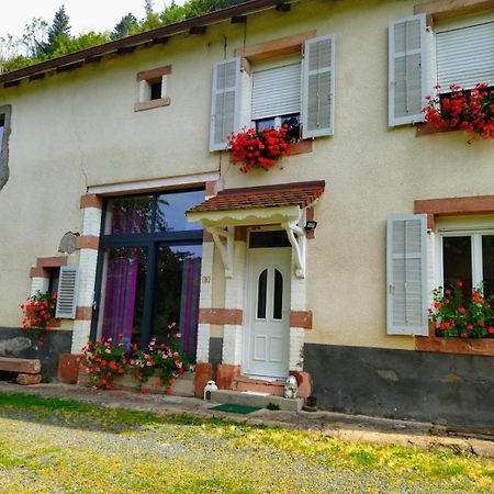 Apartmán Le Logis Aux Digitales La Croix-aux-Mines Exteriér fotografie