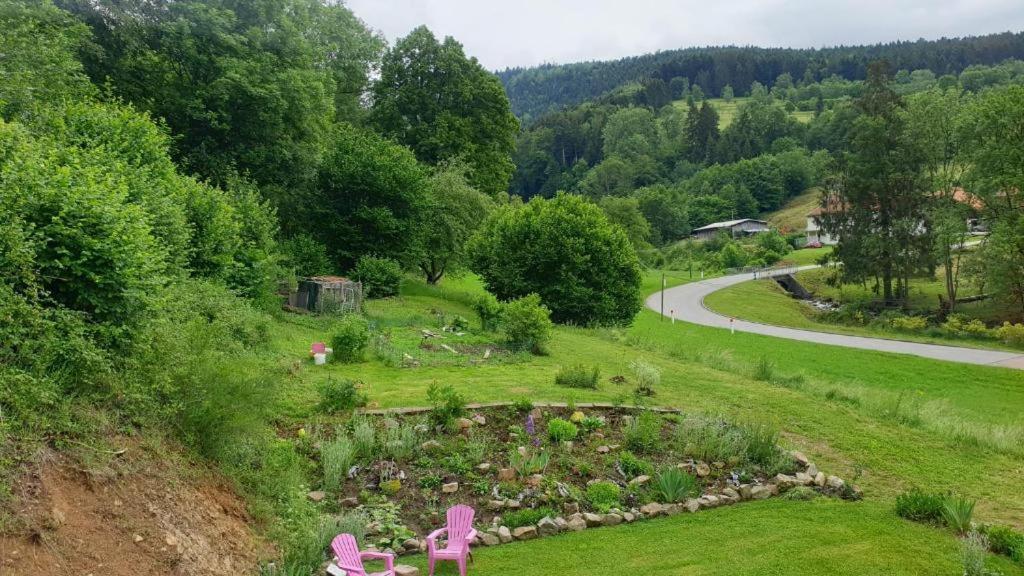 Apartmán Le Logis Aux Digitales La Croix-aux-Mines Exteriér fotografie