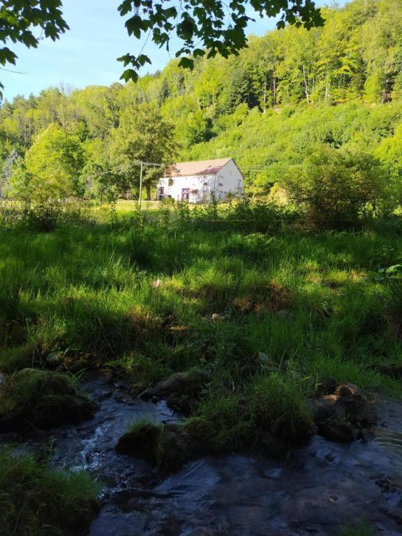 Apartmán Le Logis Aux Digitales La Croix-aux-Mines Exteriér fotografie