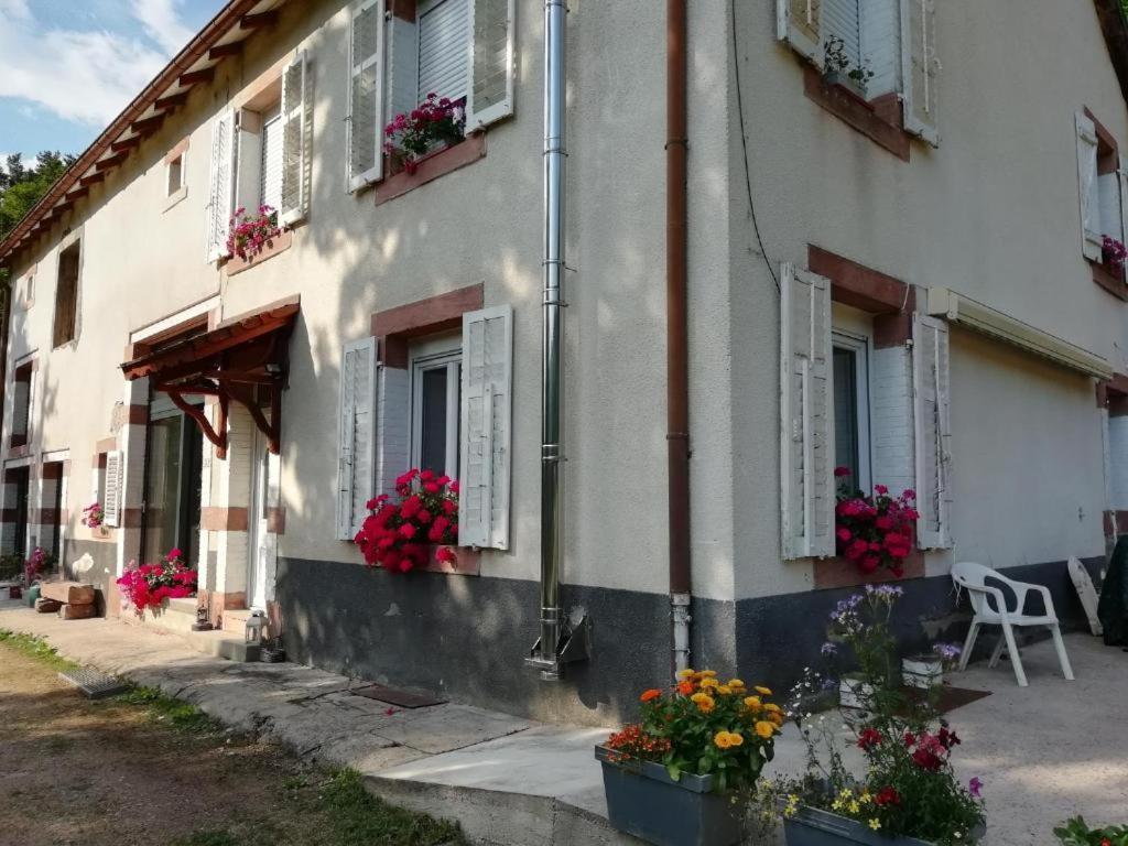 Apartmán Le Logis Aux Digitales La Croix-aux-Mines Exteriér fotografie