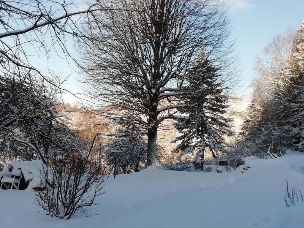 Apartmán Le Logis Aux Digitales La Croix-aux-Mines Exteriér fotografie