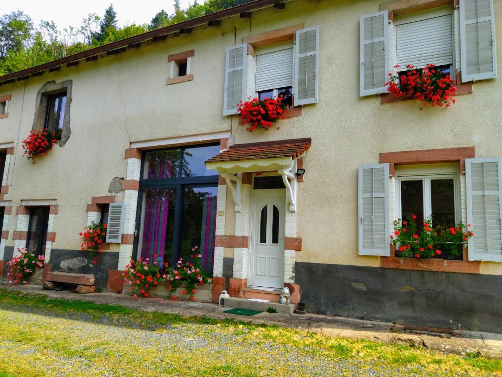 Apartmán Le Logis Aux Digitales La Croix-aux-Mines Exteriér fotografie